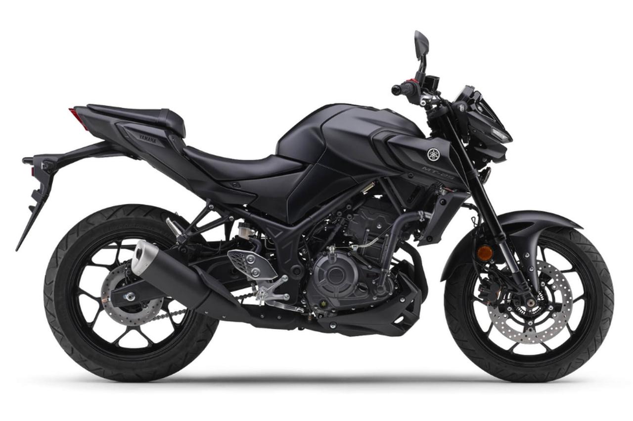 画像3: ヤマハ「MT-25 ABS」【サクッと読める!最新・国産車総図鑑2026-2027】