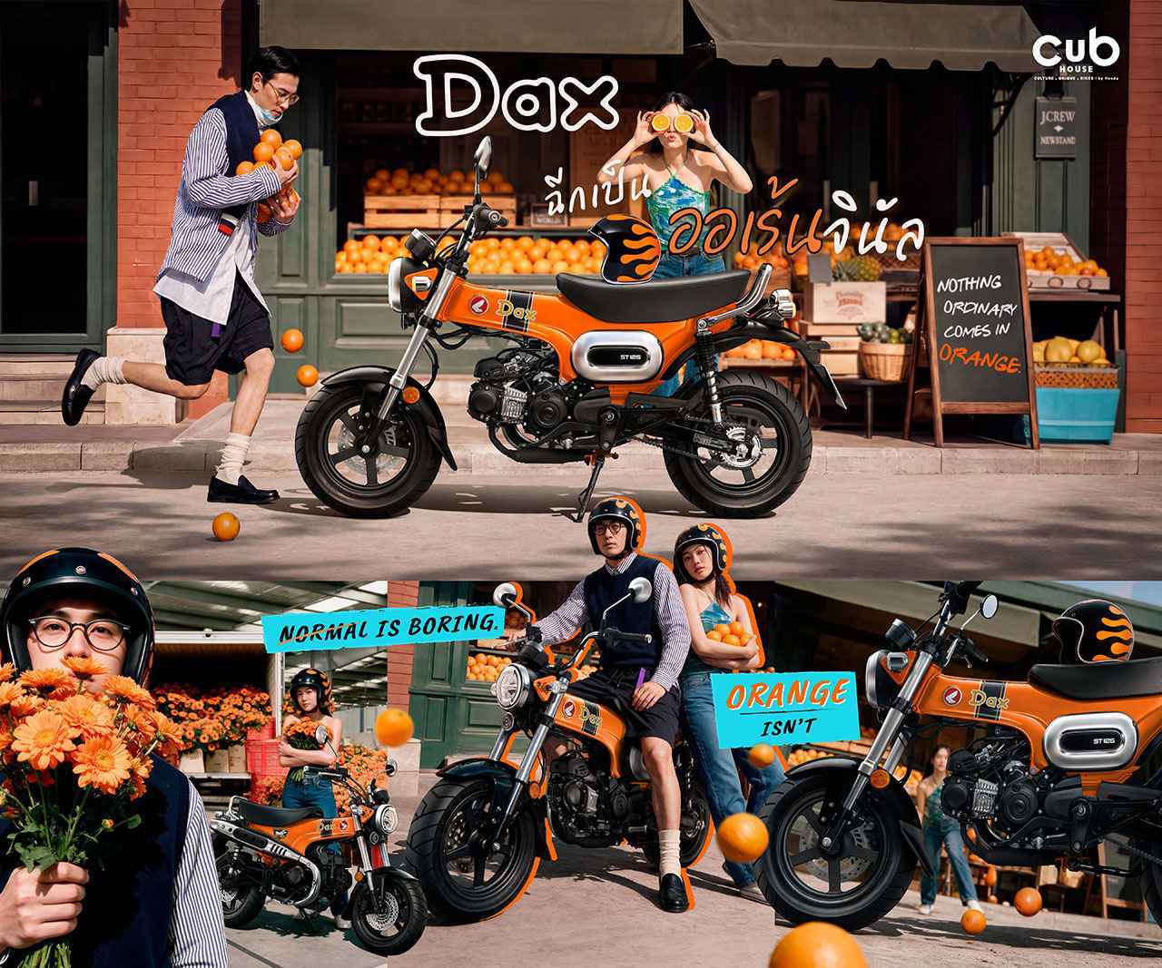 画像: “Tボーン” プレスフレームの伝統を受け継ぐ『ORANGINAL』