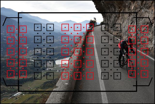 画像: フルサイズ機に比べてAF測距点を広くとれるのがD500のようなAPS-C型センサーを持つカメラの特長。これだけ測距エリアが広ければ、作画の自由度も増す。