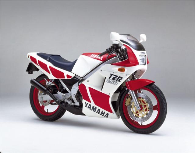画像2: (日本のバイク遺産 -レーサーレプリカ年代記-©モーターマガジン社) www.motormagazine.co.jp