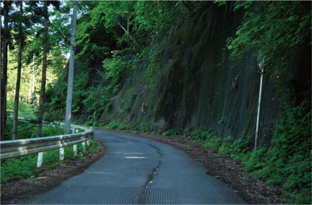 画像3: (頭文字Dファンブック©しげの秀一©講談社©モーターマガジン社) www.motormagazine.co.jp