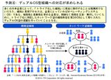 画像: ワークスタイル改革の鍵となる「組織のトライブ化」