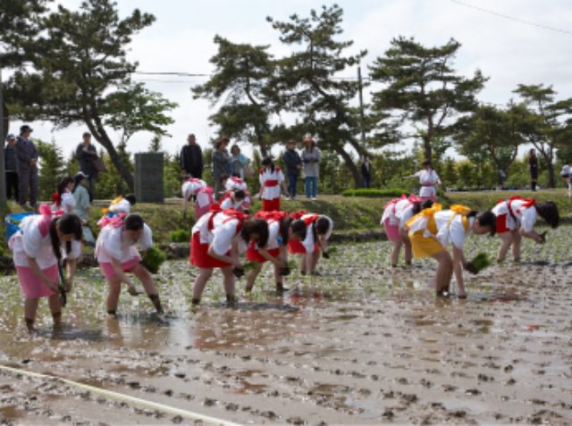 画像: 五農の伝統行事「田植え祭り」