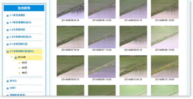 画像: 水田の定点観測画像を掲載したページ