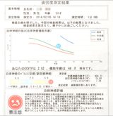 画像: 測定結果の例
