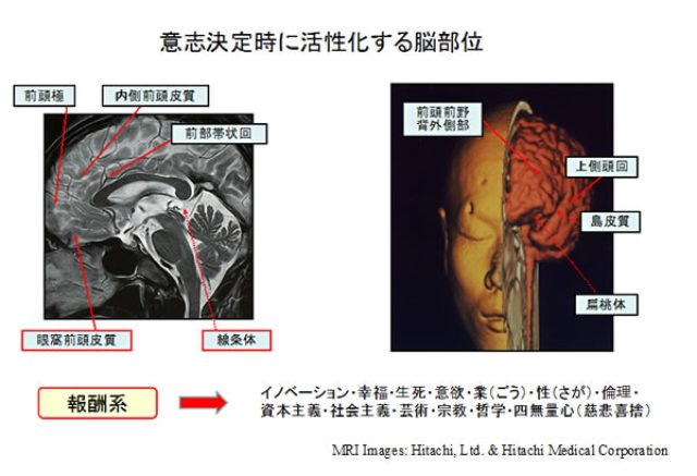 画像1: 社会的価値を生み出す「報酬系」の役割