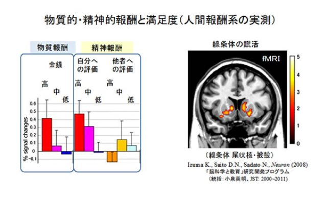 画像2: 社会的価値を生み出す「報酬系」の役割