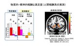 画像2: 社会的価値を生み出す「報酬系」の役割