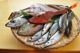画像: 八面六臂で仕入れることができる鮮魚の例