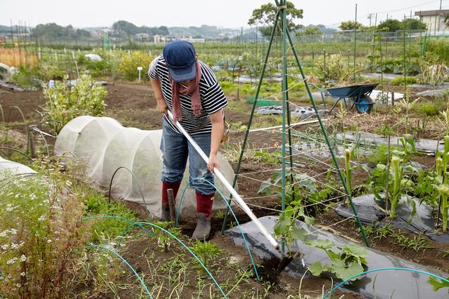 画像: 栽培の原理原則を裏付けるツール