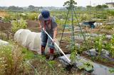 画像: 栽培の原理原則を裏付けるツール