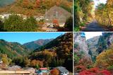 画像: 檜原村の風景(写真提供:檜原村)