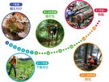 画像: 林業の業務サイクル。数字は年数。伐採できるまで30年以上を要する。