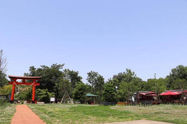 画像: 三富今昔村の敷地内には、自然だけでなく神社やカフェも。近隣住民にとっての憩いの場にもなっている。