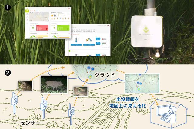 画像: ①農業IoTソリューション e-kakashi *1 *1 e-kakashiはPSソリューションズ株式会社の日本における登録商標です。 ②鳥獣害対策支援サービスのイメージ