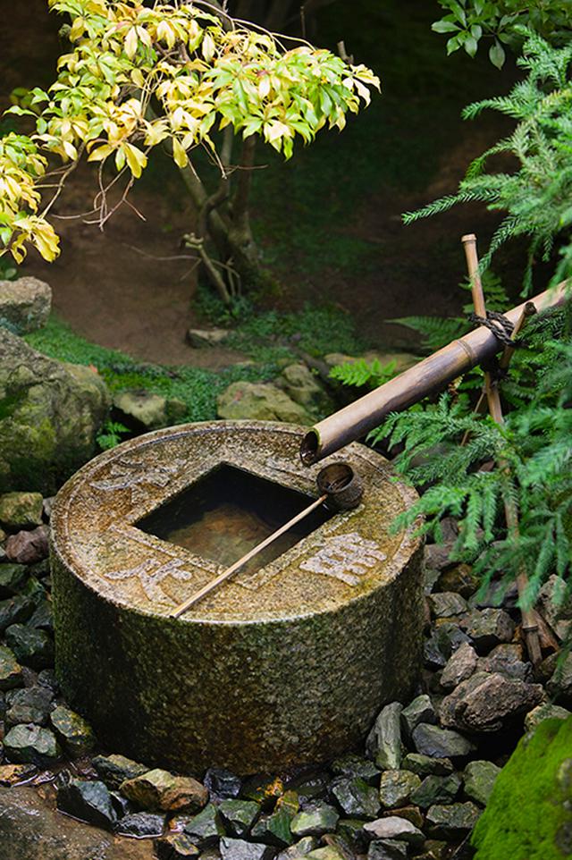 知足　未だ足るを知らず Erone Taz | 韻踏合組合 知らない？ | Instagram