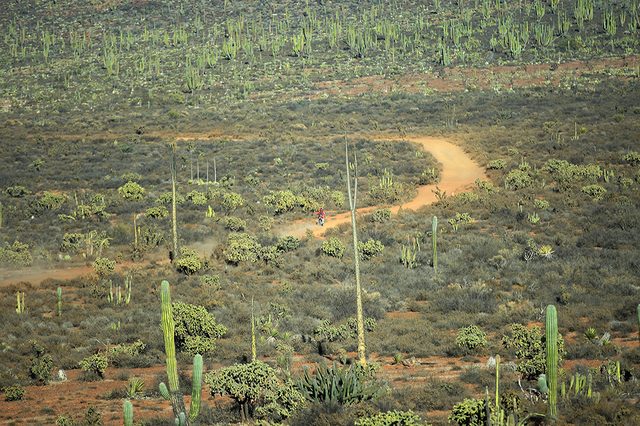 画像: BAJA1000はこうした荒野でヨーイ・ドンするレースです。コースの距離は1400kmくらい。photo by Kmikami
