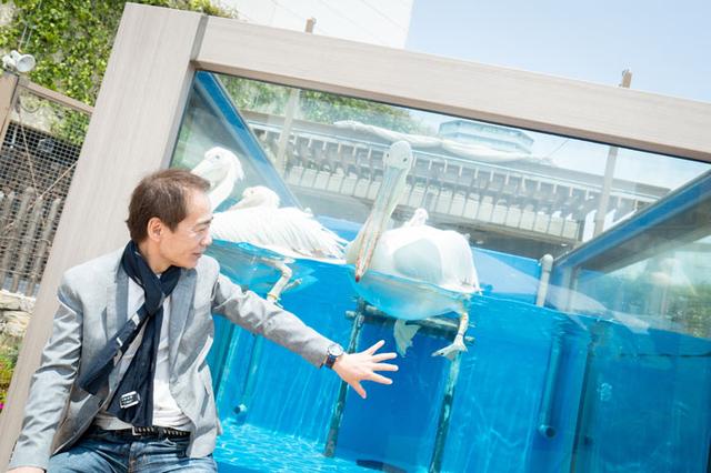 画像3: -最近の水族館には、デートスポットとして人気の高いところが多いと思います。