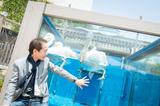 画像3: -最近の水族館には、デートスポットとして人気の高いところが多いと思います。