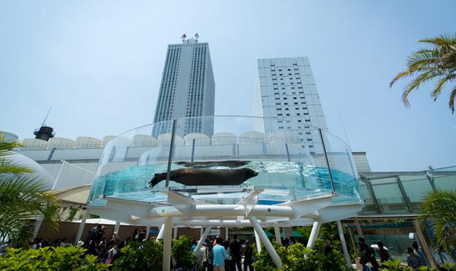画像: サンシャイン水族館の屋上にあるドーナツ型水槽