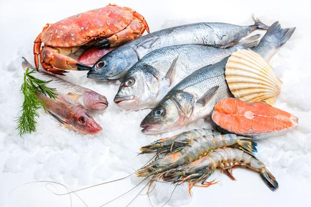 画像: ―実際に「魚ポチ」のサービスを導入している飲食店からの反応はいかがですか。