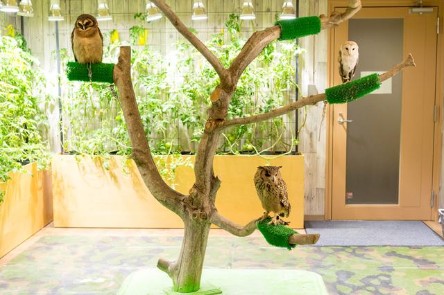 画像2: さてさて、このドアの向こうが牧場ですね! どんな動物に出会えるのでしょうか!!