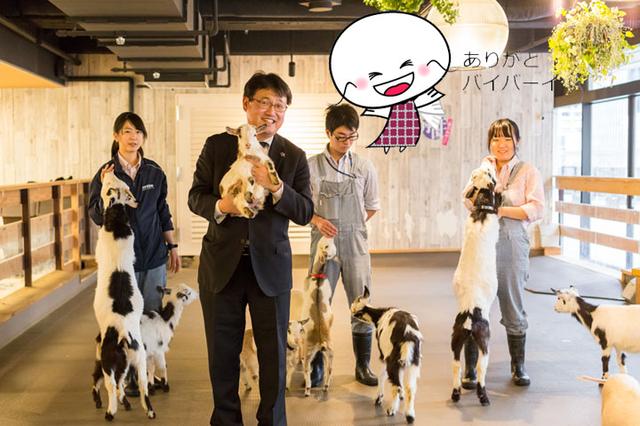画像3: 快適な環境で、ヤギの赤ちゃんも生まれたそうです!