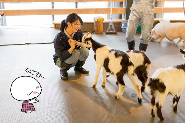 画像: 飼育責任者の峯田さん。優しい笑顔にさらに癒やされます!