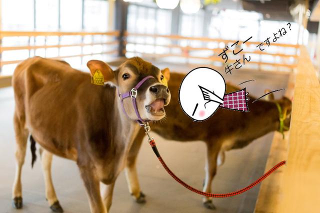 画像3: さてさて、このドアの向こうが牧場ですね! どんな動物に出会えるのでしょうか!!