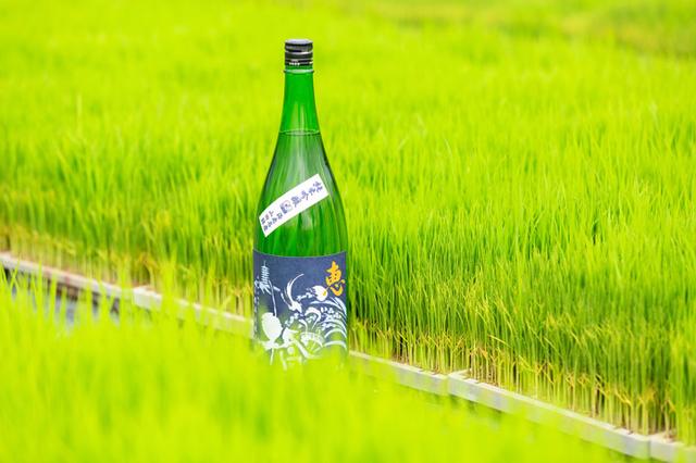 画像: 「恵」青ラベル 純米吟醸ですよー。