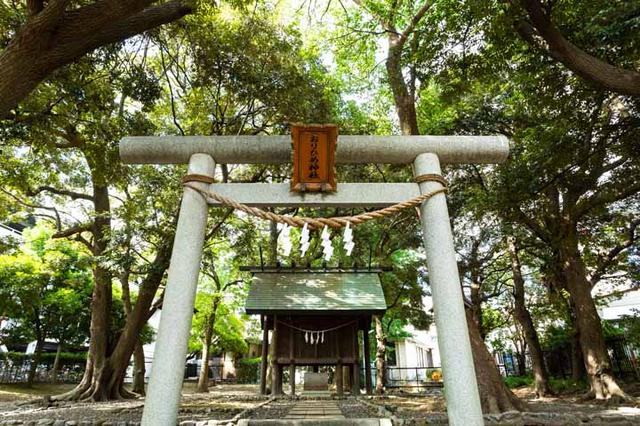 画像: 神社のお杜を囲む高い木々は、お杜を守っているようにみえます。