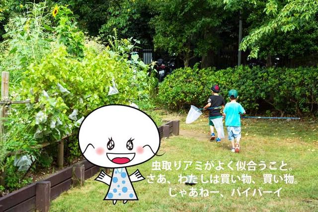 画像7: 森付きショッピングモール!?「ニッケコルトンプラザ」を訪問(2018年10月10日号)