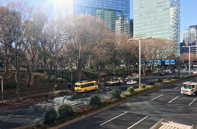 画像: 春はサクラや新緑が見事な中央公園
