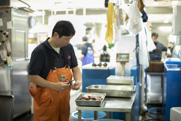 画像9: 創業は明治15年。老舗の誇りを未来へ:豊洲市場「大力商店」5代目・原田勝さん