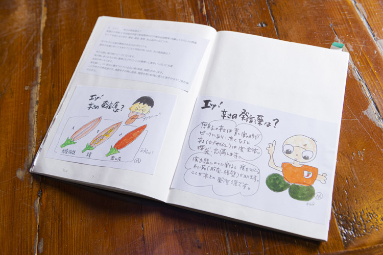 画像: 絵本や冊子、イラスト、紙芝居などで分かりやすく内藤とうがらしの情報を発信