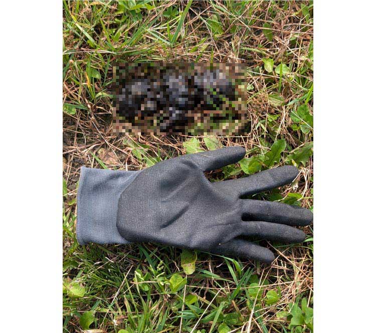 画像: 食事中の方もいるでしょうからいちおうモザイクをかけておきます。一緒に置いてあるのはワタクシの手袋です。手は大きい方です