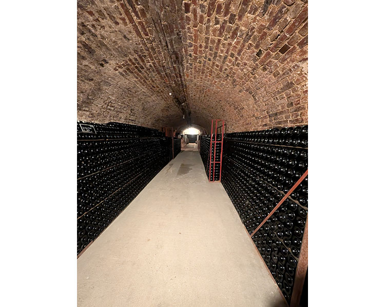 画像: シャンパーニュはびん詰め後に数十カ月の熟成が必要です。その間はこういった地下のセラーで保管しています。小規模生産者といっても、それ相応の設備が必要とされます