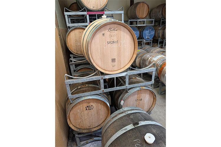 画像: 大きく写っている樽3つで発酵しています。新樽1つに古樽2つという割合でいくことにしました