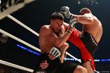 画像5: 「サムライの思想はいつも私の助けになっています」RIZIN FIGHTING WORLD GRAND-PRIX 2015トーナメント準優勝 イリー・プロハースカ選手インタビュー!
