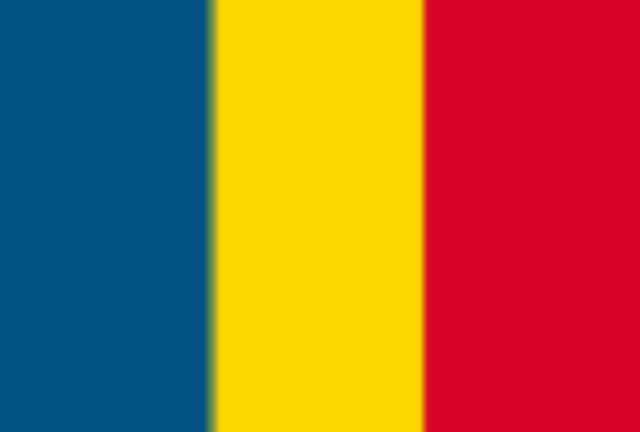 画像: Romanian Xtreme Fighting(ルーマニア)