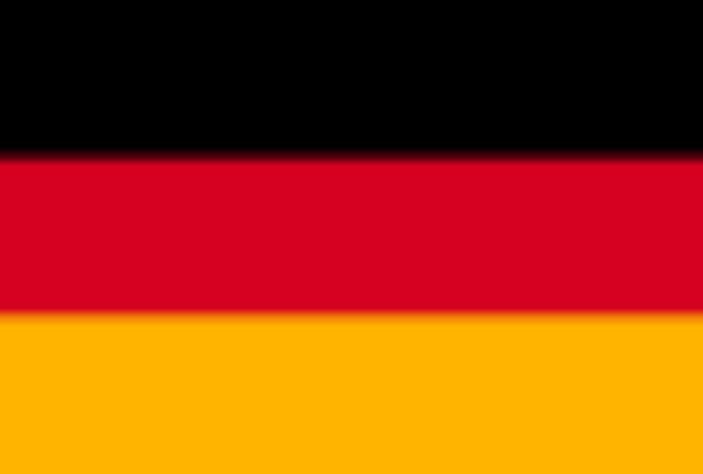 画像: German MMA Championship(ドイツ)