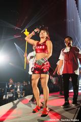 画像2: 第12試合 RIZIN女子MMAルール:5分3R 49.0kg契約
RENAvs山本美憂
Cygames presents RIZIN FIGHTING WORLD GP 2016 無差別級トーナメント 開幕戦