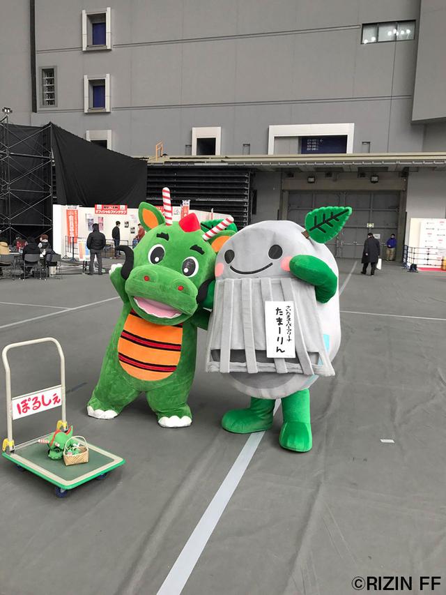 画像7: 今年も大盛況!『格闘技EXPO』