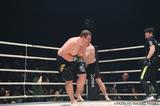 画像6: 第2試合 ミルコ・クロコップ vs. バルト(試合結果詳細)Cygames presents RIZIN FIGHTING WORLD GP 2016 無差別級トーナメント Final ROUND