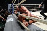 画像7: 第11試合 ミルコ・クロコップ vs. アミール・アリアックバリ(試合結果詳細)Cygames presents RIZIN FIGHTING WORLD GP 2016 無差別級トーナメント Final ROUND