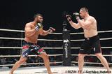 画像3: 第11試合 ミルコ・クロコップ vs. アミール・アリアックバリ(試合結果詳細)Cygames presents RIZIN FIGHTING WORLD GP 2016 無差別級トーナメント Final ROUND