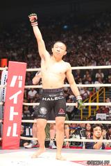 画像2: 第11試合 堀口 恭司 VS. 所 英男(試合結果詳細)RIZIN FIGHTING WORLD GRAND-PRIX 2017 バンタム級トーナメント 1st ROUND -夏の陣-
