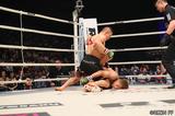 画像9: 第11試合 堀口 恭司 VS. 所 英男(試合結果詳細)RIZIN FIGHTING WORLD GRAND-PRIX 2017 バンタム級トーナメント 1st ROUND -夏の陣-