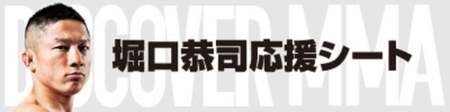 画像3: 選手応援シート(特典付き)