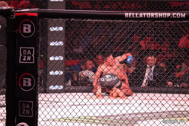 画像3: 堀口恭司、Bellatorバンタム級タイトルマッチを制し二大プロモーション同時制覇達成!